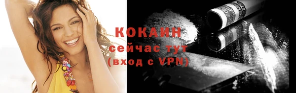 spice Елизово