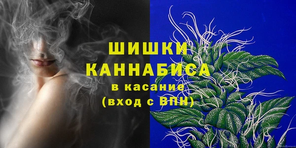 spice Елизово